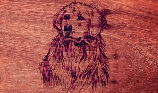 Example of Pet Pyrography Customisation